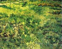Gogh, Vincent van - Field of Grass with Flowers and Butterfies